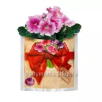 Растущая трава «Петуния» в подарочном пакете